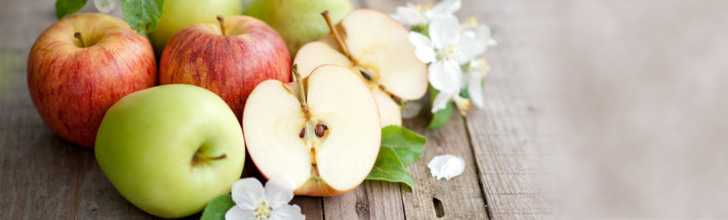 metabolic balance Erfahrungen