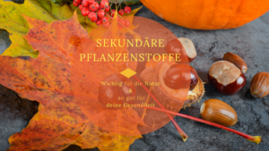 Sekundäre Pflanzenstoffe