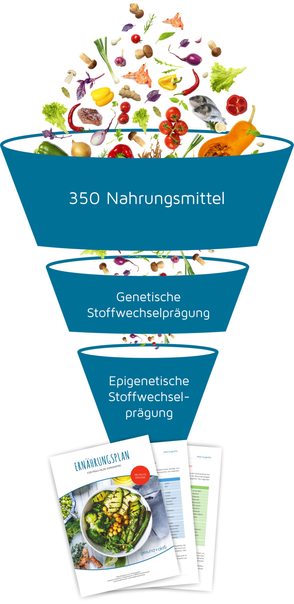 gesund + aktiv Stoffwechselprogramm